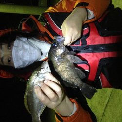 24cm~26cmのアジがHIT！！